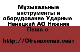 Музыкальные инструменты и оборудование Ударные. Ненецкий АО,Нижняя Пеша с.